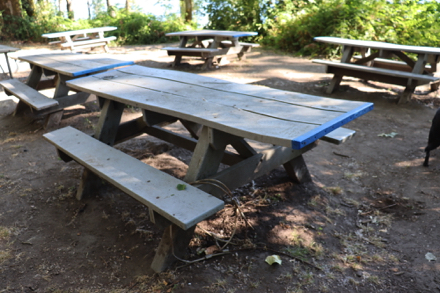 One of several group picnic areas - Columbia River - soft surface